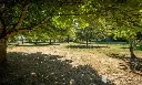 449 000 3 jardin 3webp.webp